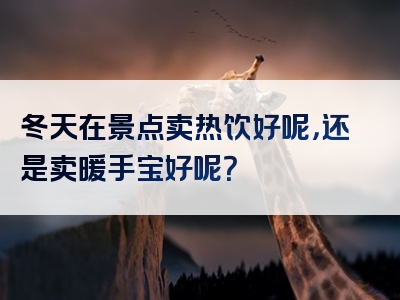 冬天在景点卖热饮好呢，还是卖暖手宝好呢？