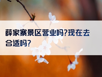 薛家寨景区营业吗？现在去合适吗？