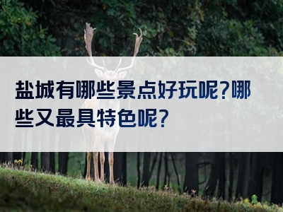 盐城有哪些景点好玩呢？哪些又最具特色呢？