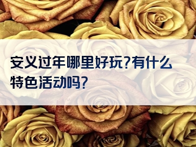 安义过年哪里好玩？有什么特色活动吗？