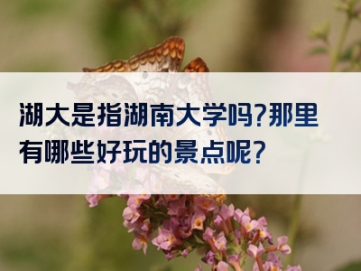 湖大是指湖南大学吗？那里有哪些好玩的景点呢？
