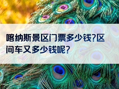 喀纳斯景区门票多少钱？区间车又多少钱呢？