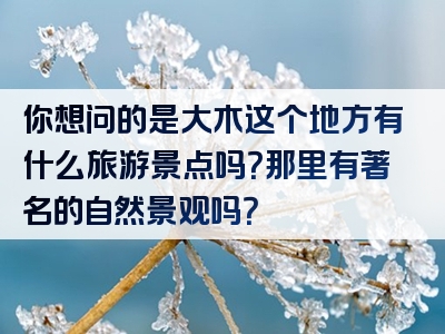 你想问的是大木这个地方有什么旅游景点吗？那里有著名的自然景观吗？