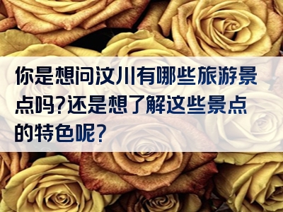 你是想问汶川有哪些旅游景点吗？还是想了解这些景点的特色呢？