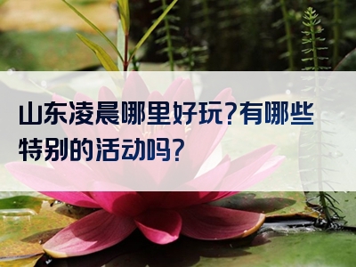 山东凌晨哪里好玩？有哪些特别的活动吗？