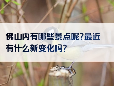 佛山内有哪些景点呢？最近有什么新变化吗？