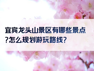 宜宾龙头山景区有哪些景点？怎么规划游玩路线？
