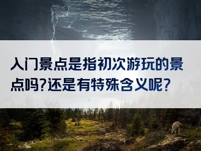 入门景点是指初次游玩的景点吗？还是有特殊含义呢？