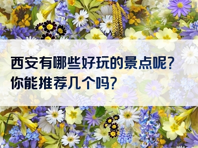 西安有哪些好玩的景点呢？你能推荐几个吗？