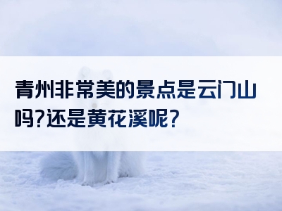 青州非常美的景点是云门山吗？还是黄花溪呢？