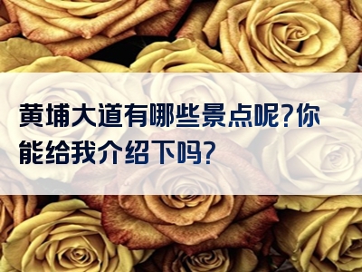 黄埔大道有哪些景点呢？你能给我介绍下吗？