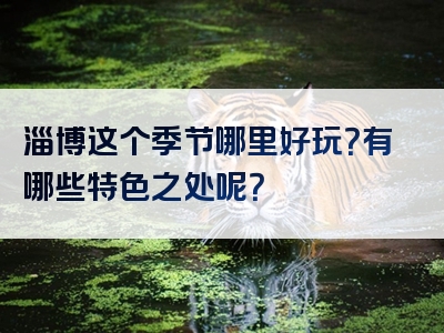 淄博这个季节哪里好玩？有哪些特色之处呢？