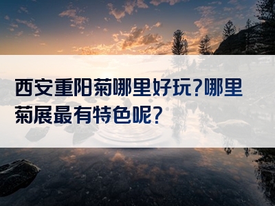 西安重阳菊哪里好玩？哪里菊展最有特色呢？