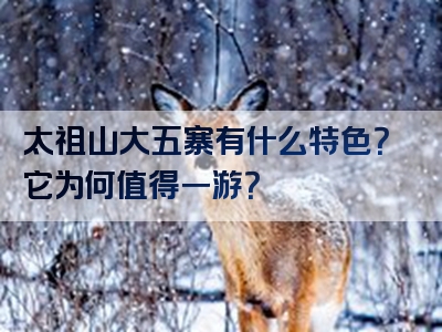 太祖山大五寨有什么特色？它为何值得一游？