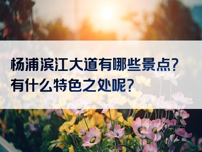 杨浦滨江大道有哪些景点？有什么特色之处呢？