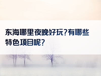 东海哪里夜晚好玩？有哪些特色项目呢？