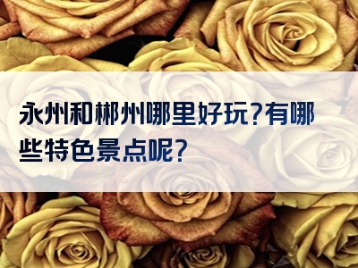 永州和郴州哪里好玩？有哪些特色景点呢？
