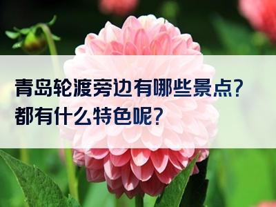 青岛轮渡旁边有哪些景点？都有什么特色呢？