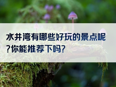 水井湾有哪些好玩的景点呢？你能推荐下吗？