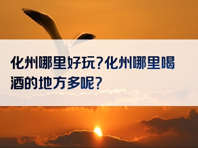 化州哪里好玩？化州哪里喝酒的地方多呢？