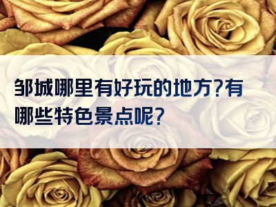 邹城哪里有好玩的地方？有哪些特色景点呢？