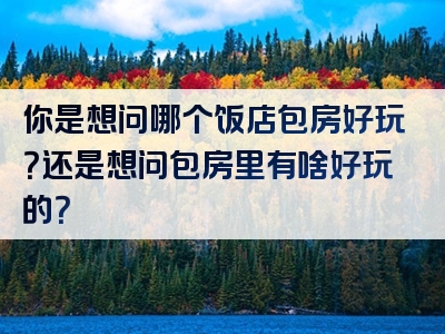 你是想问哪个饭店包房好玩？还是想问包房里有啥好玩的？