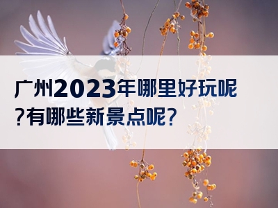 广州2023年哪里好玩呢？有哪些新景点呢？