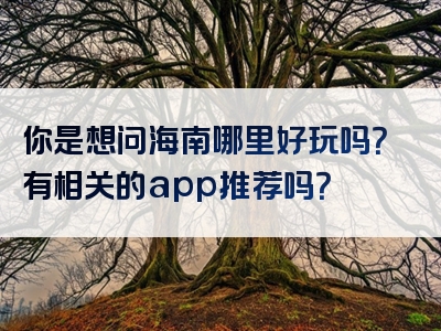 你是想问海南哪里好玩吗？有相关的app推荐吗？