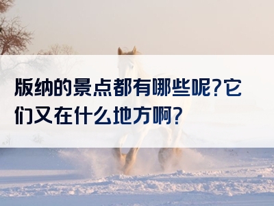 版纳的景点都有哪些呢？它们又在什么地方啊？
