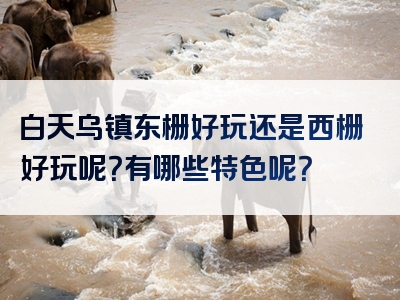 白天乌镇东栅好玩还是西栅好玩呢？有哪些特色呢？