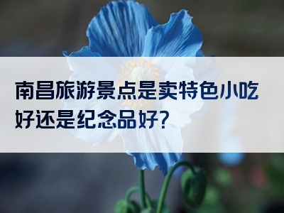 南昌旅游景点是卖特色小吃好还是纪念品好？