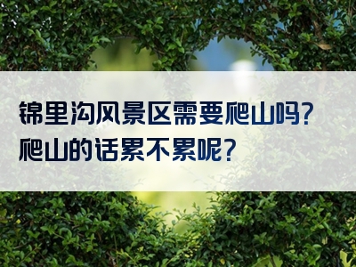锦里沟风景区需要爬山吗？爬山的话累不累呢？