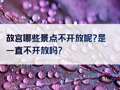 故宫哪些景点不开放呢？是一直不开放吗？