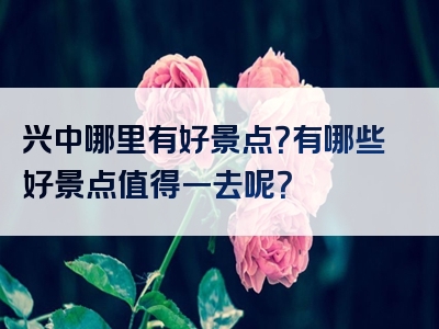 兴中哪里有好景点？有哪些好景点值得一去呢？