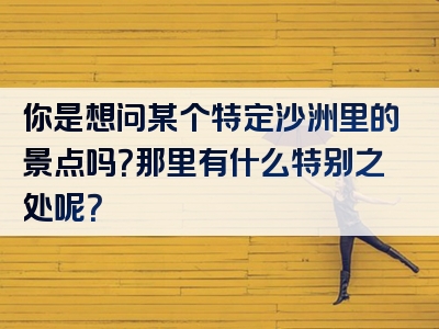 你是想问某个特定沙洲里的景点吗？那里有什么特别之处呢？