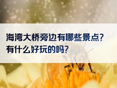 海湾大桥旁边有哪些景点？有什么好玩的吗？