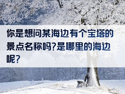 你是想问某海边有个宝塔的景点名称吗？是哪里的海边呢？