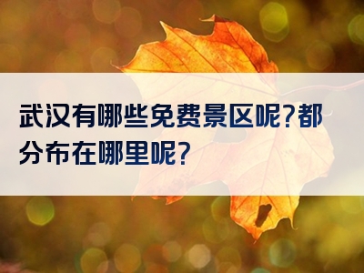 武汉有哪些免费景区呢？都分布在哪里呢？