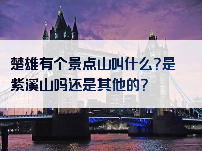 楚雄有个景点山叫什么？是紫溪山吗还是其他的？