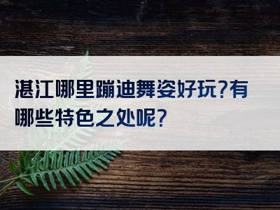 湛江哪里蹦迪舞姿好玩？有哪些特色之处呢？