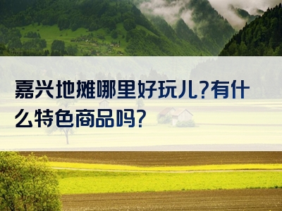 嘉兴地摊哪里好玩儿？有什么特色商品吗？