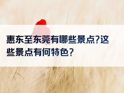 惠东至东莞有哪些景点？这些景点有何特色？