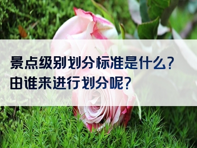 景点级别划分标准是什么？由谁来进行划分呢？