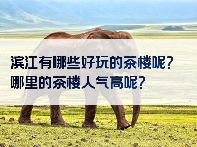 滨江有哪些好玩的茶楼呢？哪里的茶楼人气高呢？