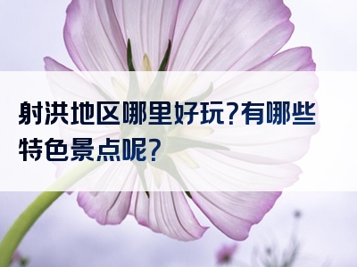 射洪地区哪里好玩？有哪些特色景点呢？