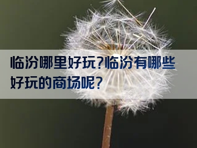 临汾哪里好玩？临汾有哪些好玩的商场呢？