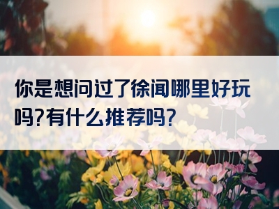 你是想问过了徐闻哪里好玩吗？有什么推荐吗？