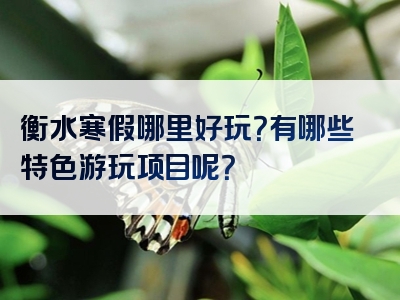衡水寒假哪里好玩？有哪些特色游玩项目呢？