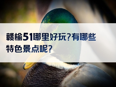 赣榆51哪里好玩？有哪些特色景点呢？
