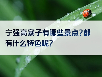 宁强高寨子有哪些景点？都有什么特色呢？